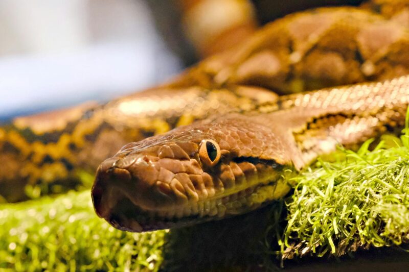 Top AI Trends and Tools for Leaders in 2025